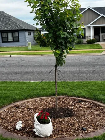 $409,900 | 1922 Sandstone Loop South, Sartell, MN 56377