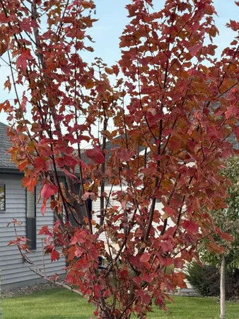 $409,900 | 1922 Sandstone Loop South, Sartell, MN 56377