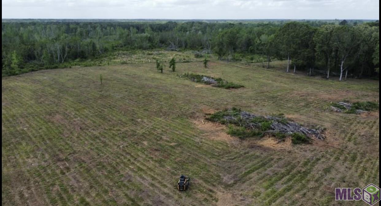 Tbd West Horseshoe Road Amite, LA 70422 - Photo 1 of 3 Gallery Image 1