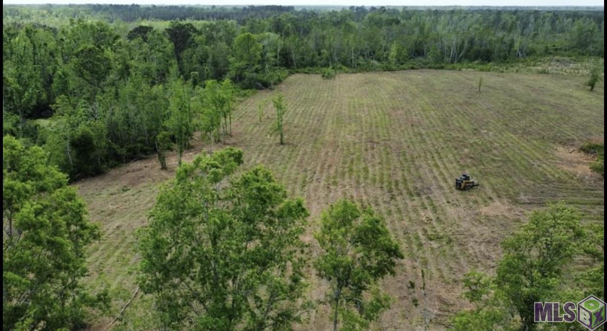 Tbd West Horseshoe Road Amite, LA 70422 - Photo 3 of 3 Gallery Image 3