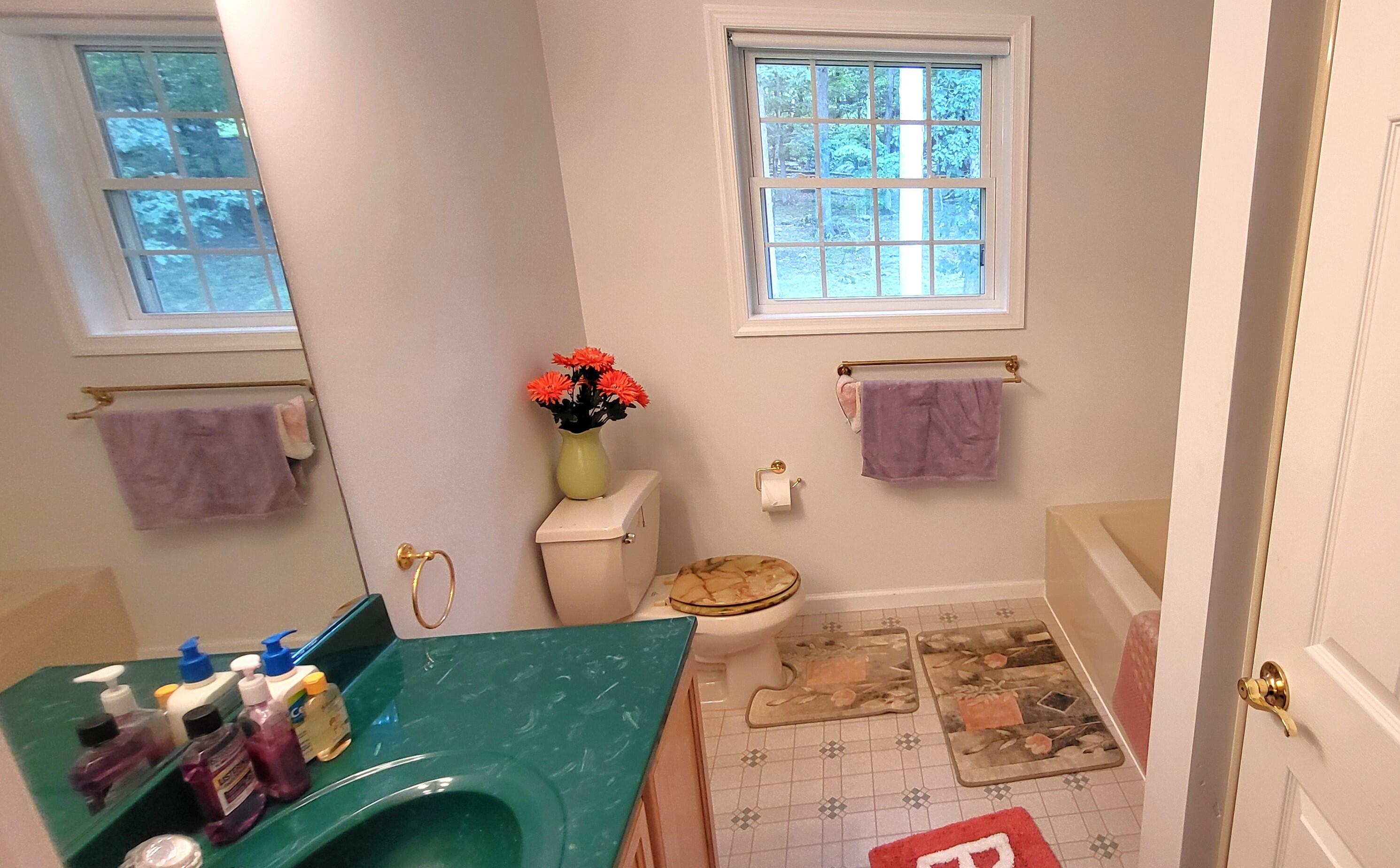 6251 Decker Road Bushkill, PA 18324 - Photo 15 of 58 a bathroom with a toilet sink and mirror