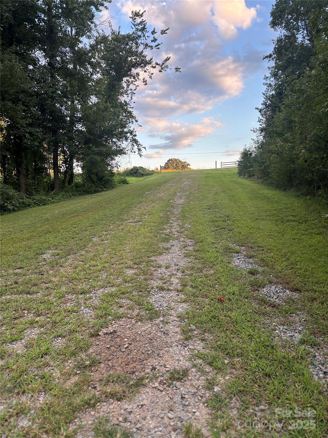 1770 London Road Mooresville, NC 28115 - Photo 12 of 12 a view of a field with an trees
