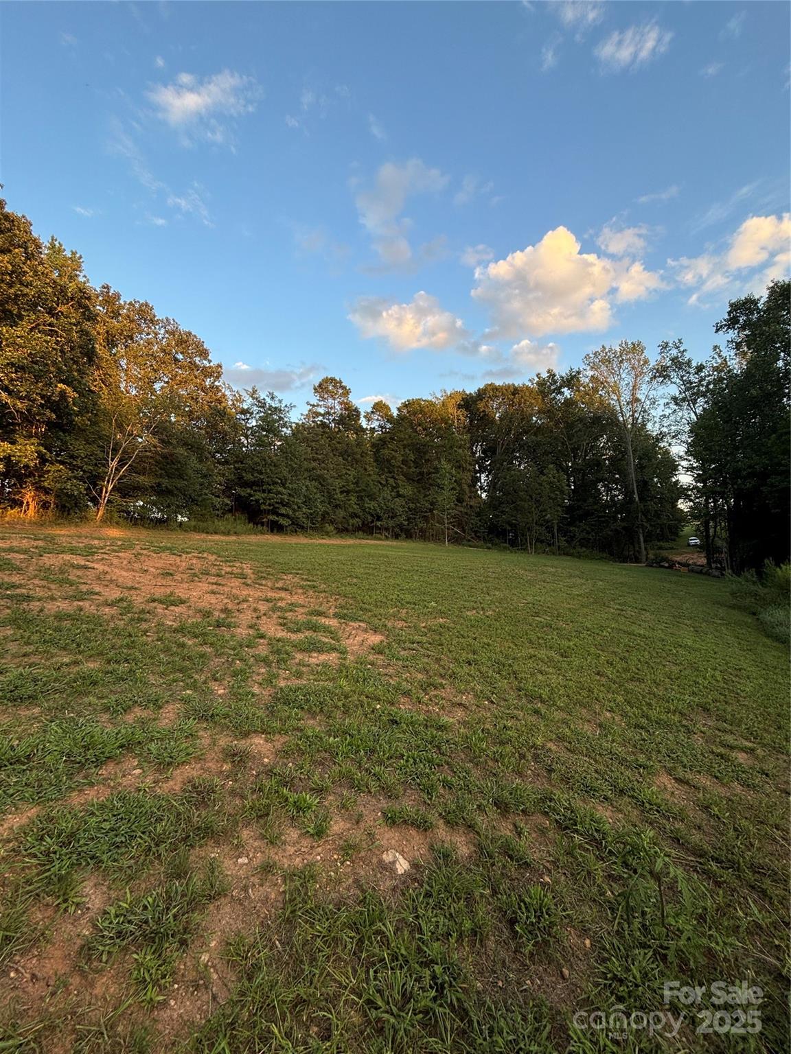 1770 London Road Mooresville, NC 28115 - Photo 3 of 12 a view of a lake with a mountain in the background