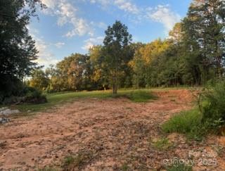 1770 London Road Mooresville, NC 28115 - Photo 6 of 12 a view of outdoor space with green field and trees all around