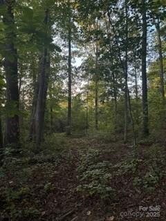 1770 London Road Mooresville, NC 28115 - Photo 10 of 12 a view of a forest