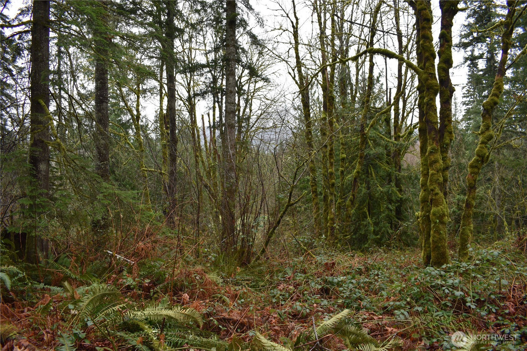 15327 May Creek Road Gold Bar, WA 98251 - Photo 20 of 35