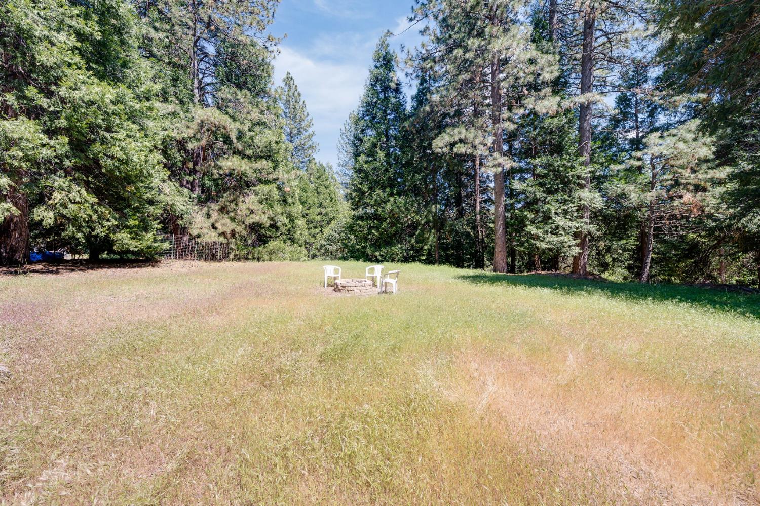28722 Wood Road Pioneer, CA 95666 - Photo 1 of 39 a view of a field with trees in the background