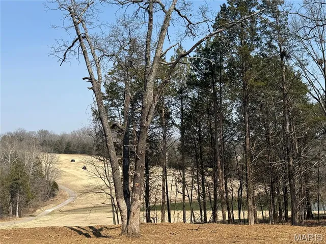 $599,000 | 9635 Duffer Drive, Hillsboro, MO 63050