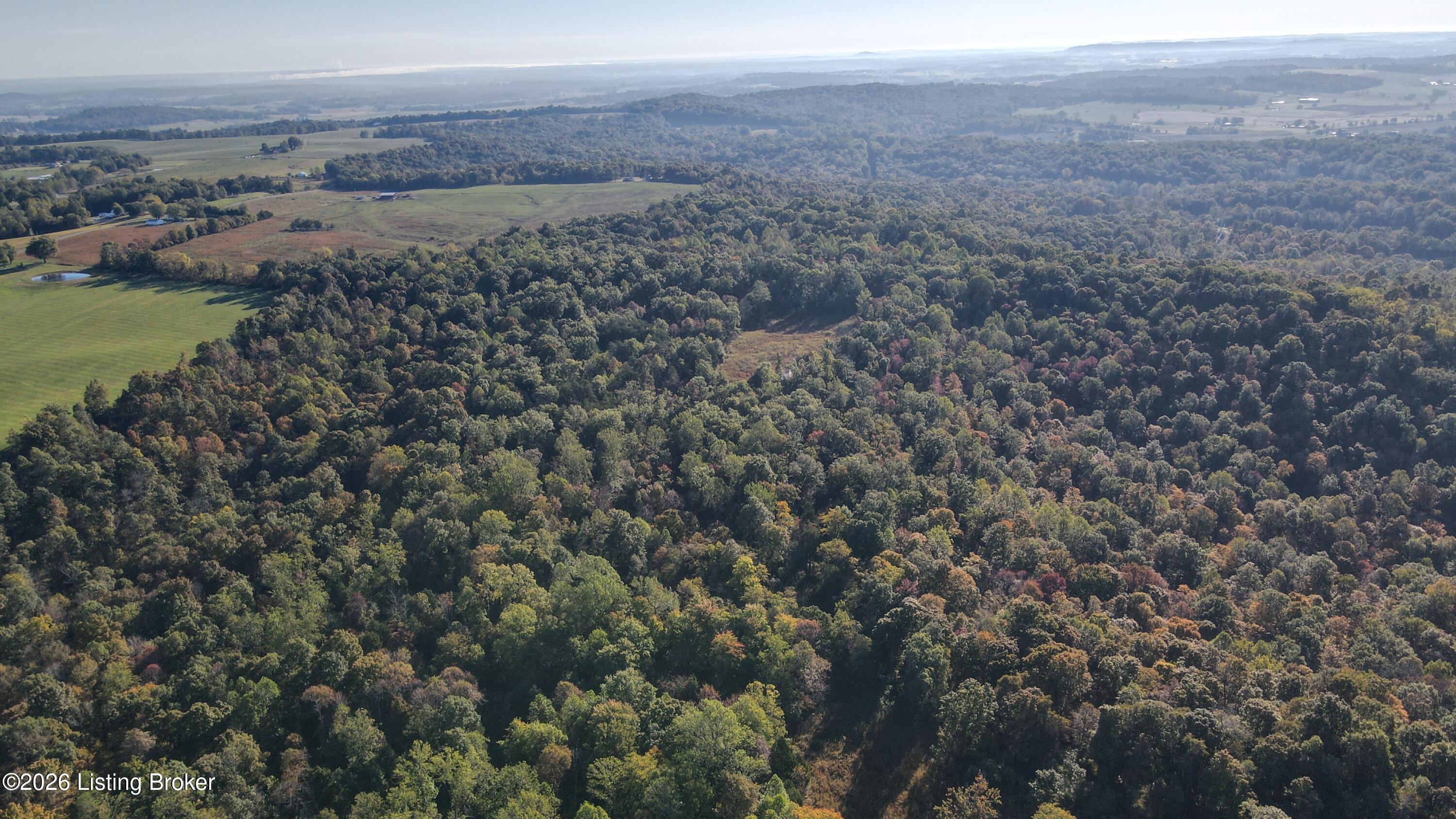 2780 Hardesty Raymond Road Webster, KY 40176 - Photo 5 of 23 dji_fly_20251015_095058_105_176053927674