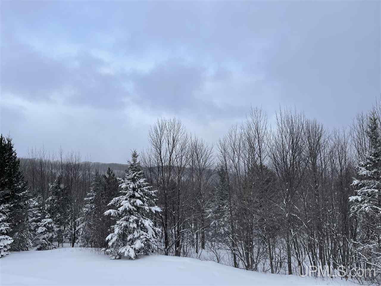 1200 John S Road Wakefield, MI 49968 - Photo 32 of 39 Gallery Image 32