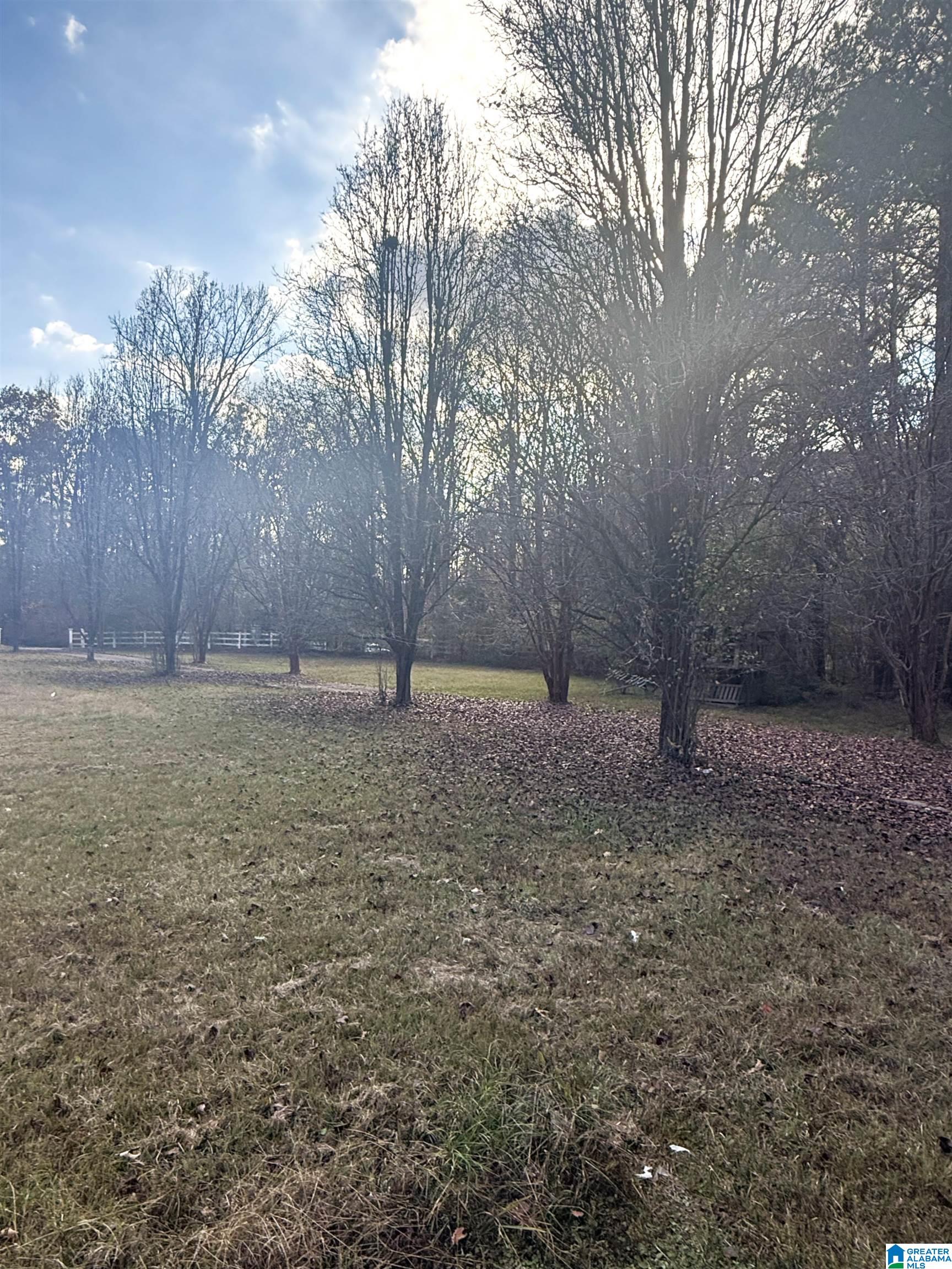 225 Highway 332 Pelham Al Pelham, AL 35124 - Photo 2 of 5