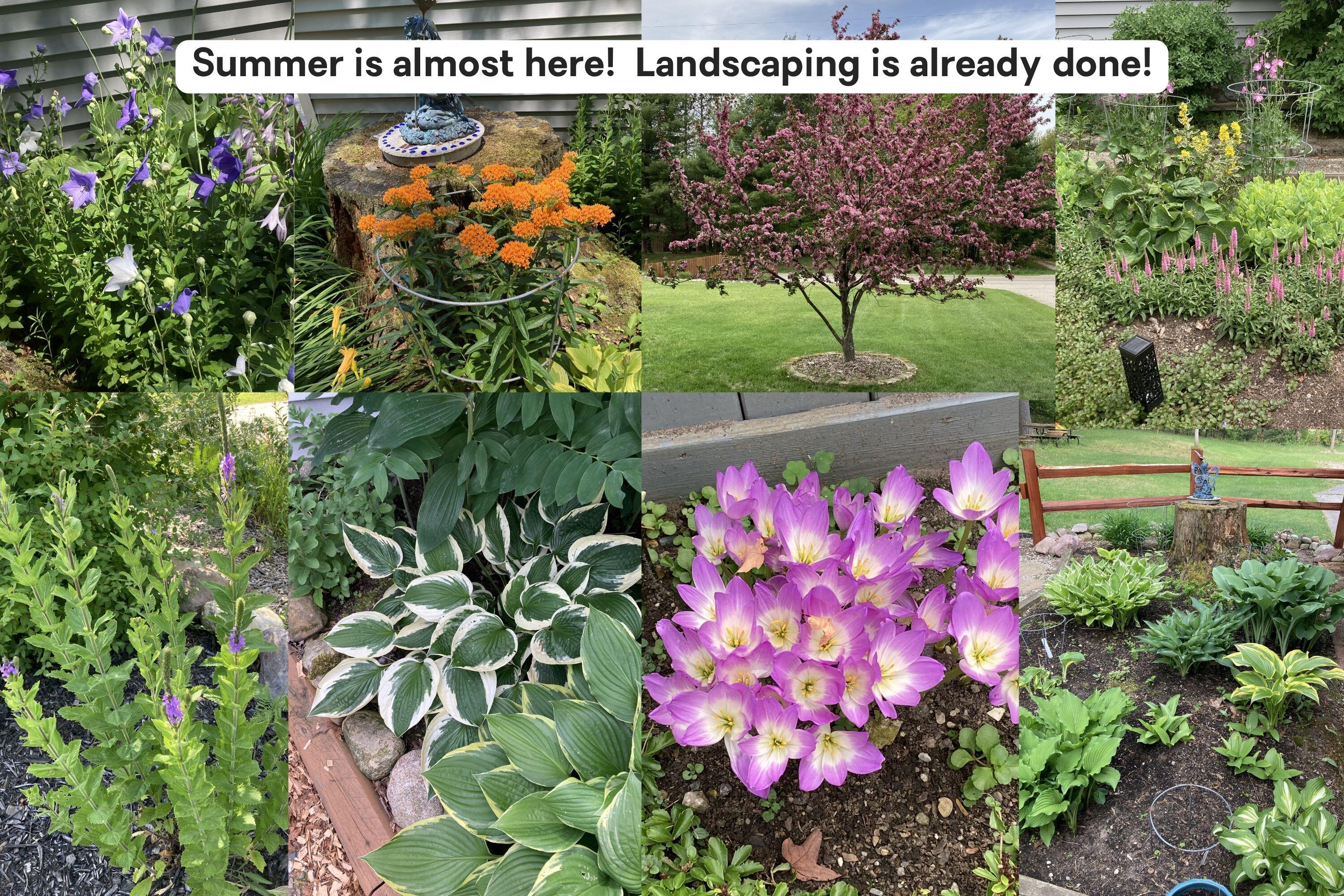 10319 East 4 1/2 Mile Road Luther, MI 49656 - Photo 2 of 62 Landscaping