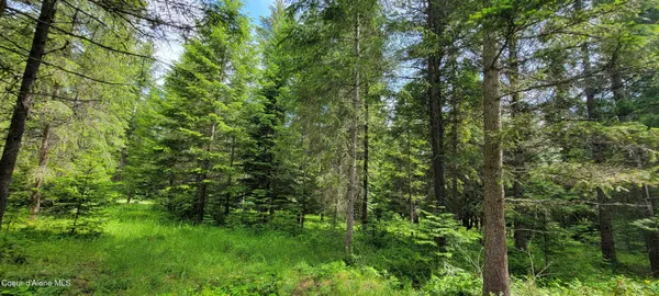 $260,000 | 352 Estate Drive, Troy, MT 59935