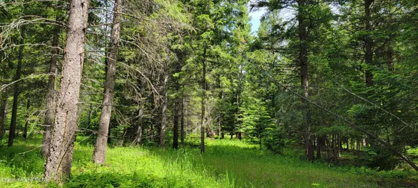 $260,000 | 352 Estate Drive, Troy, MT 59935