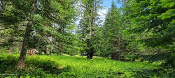 $260,000 | 352 Estate Drive, Troy, MT 59935
