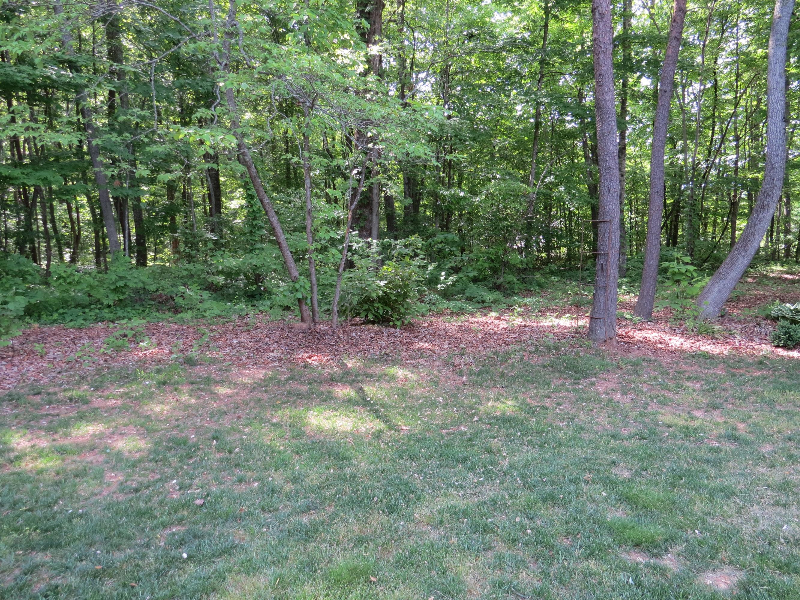 160 White Loop Road Clinton, TN 37716 - Photo 13 of 33 IMG_1874