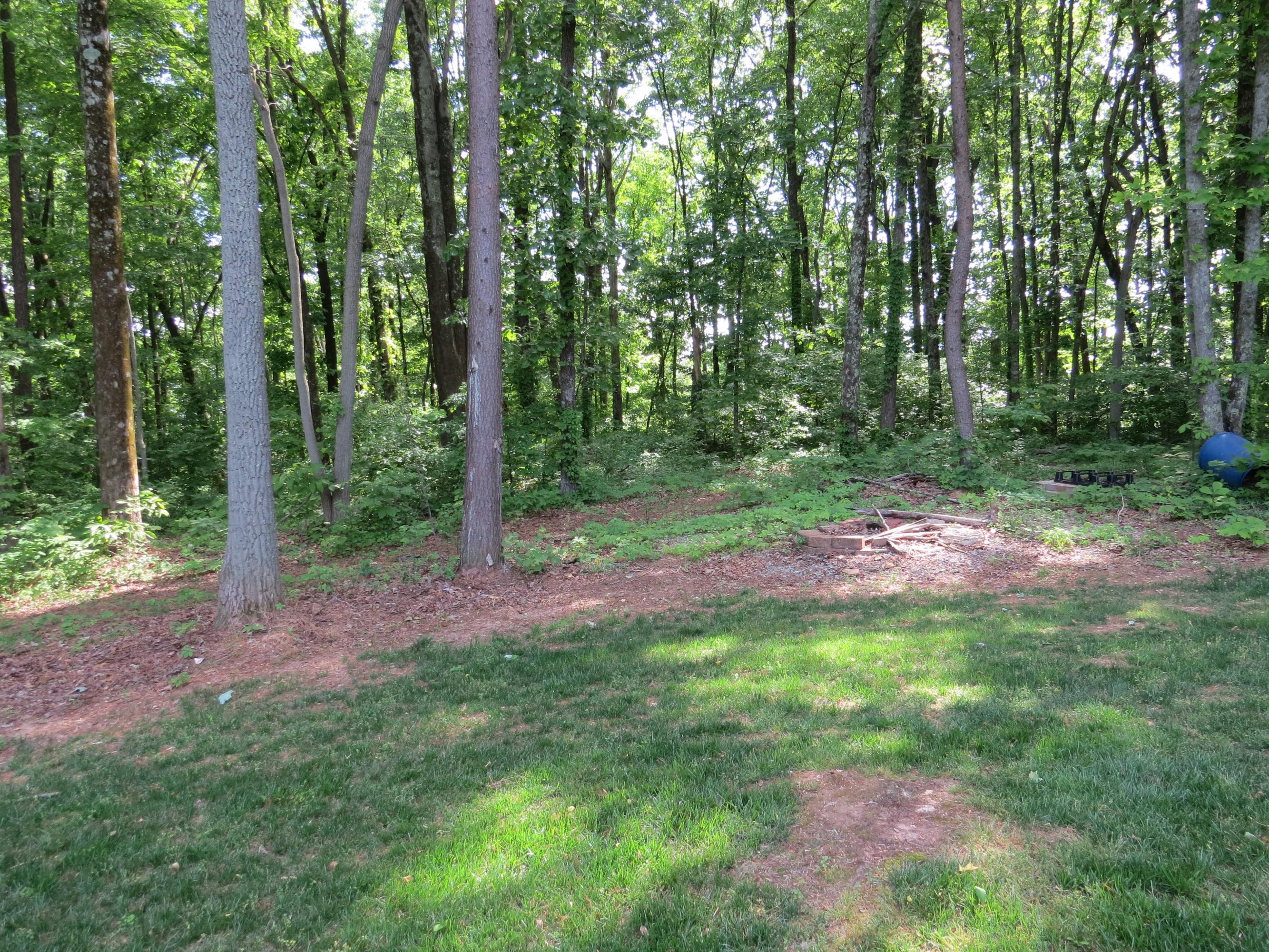 160 White Loop Road Clinton, TN 37716 - Photo 8 of 33 IMG_1882