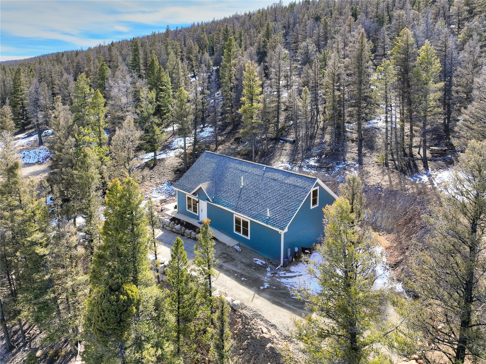 2755 Redhill Road Fairplay, CO 80440 - Photo 9 of 32