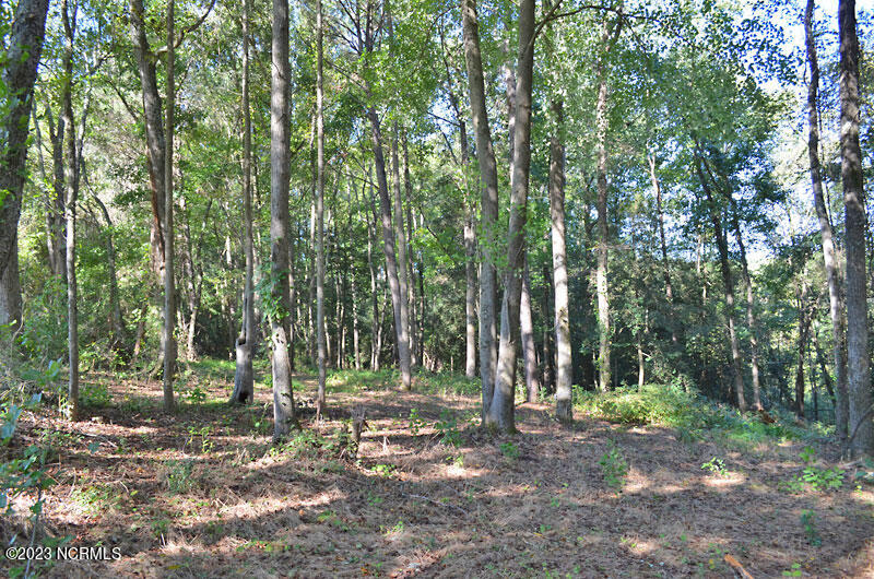 2 Old Mill Road Stantonsburg, NC 27883 - Photo 4 of 10 14