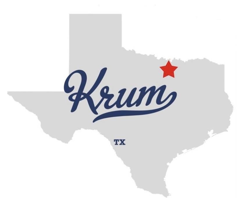 14717 Burns Branch Road Krum, TX 76249 - Photo 7 of 40