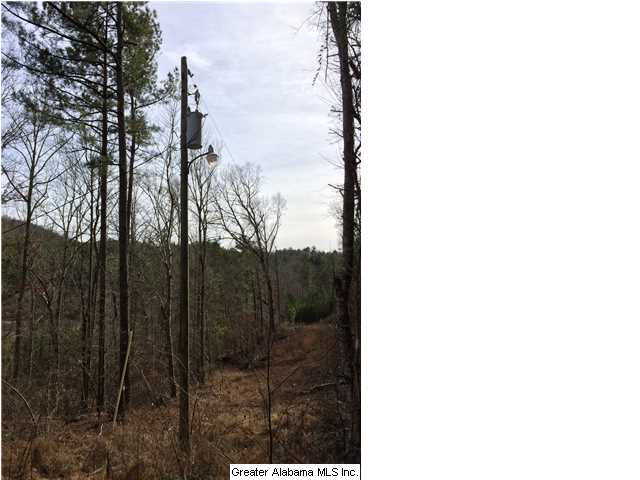 734 Valley Grove Road, Unit 15 4 ACR Remlap, AL 35133 - Photo 11 of 32