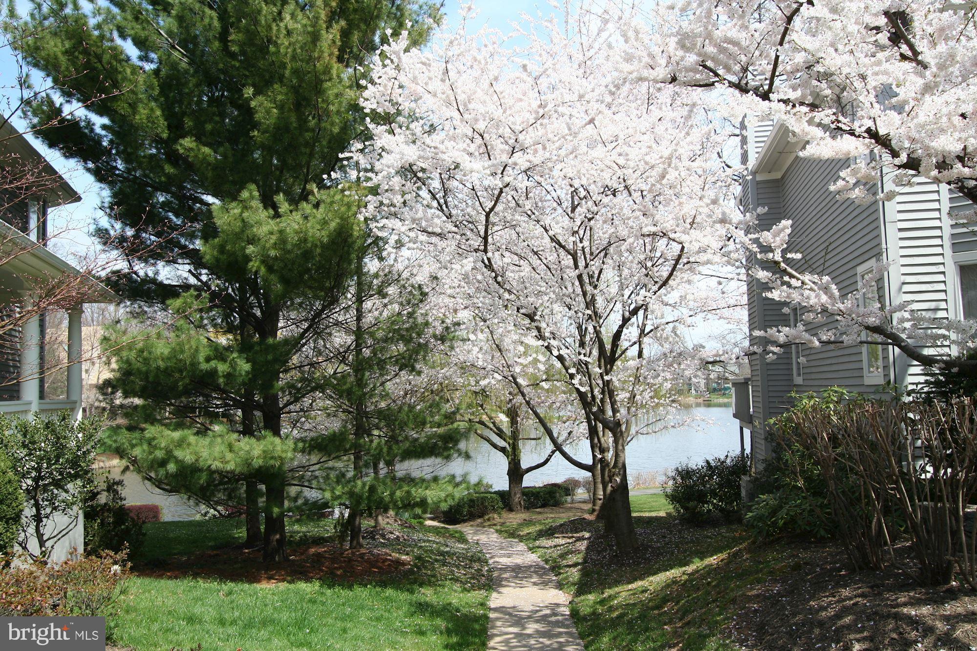 1564 Regatta Lane Reston, VA 20194 - Photo 30 of 33 Path Across the Lane to the Lake & Dock