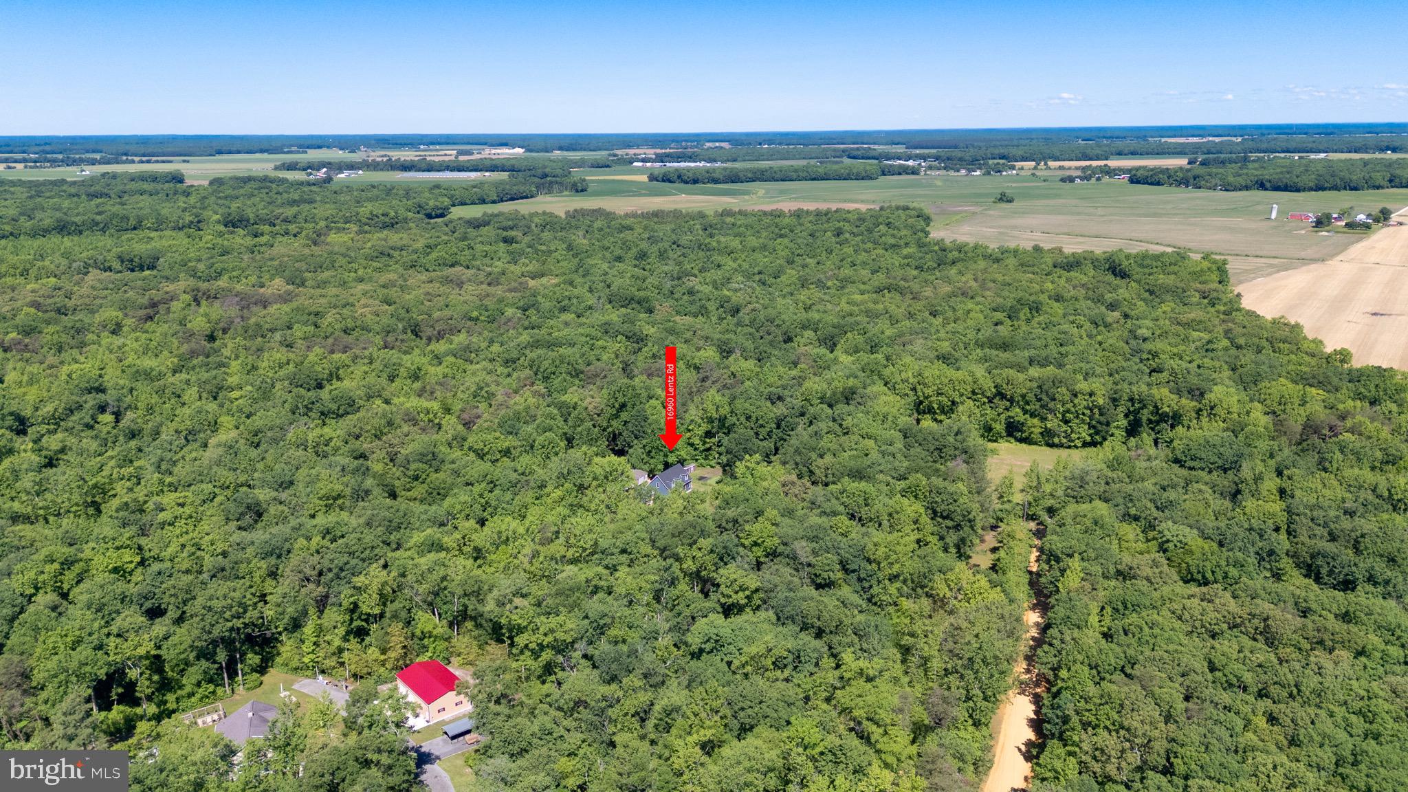 16960 Lentz Road Henderson, MD 21640 - Photo 30 of 34
