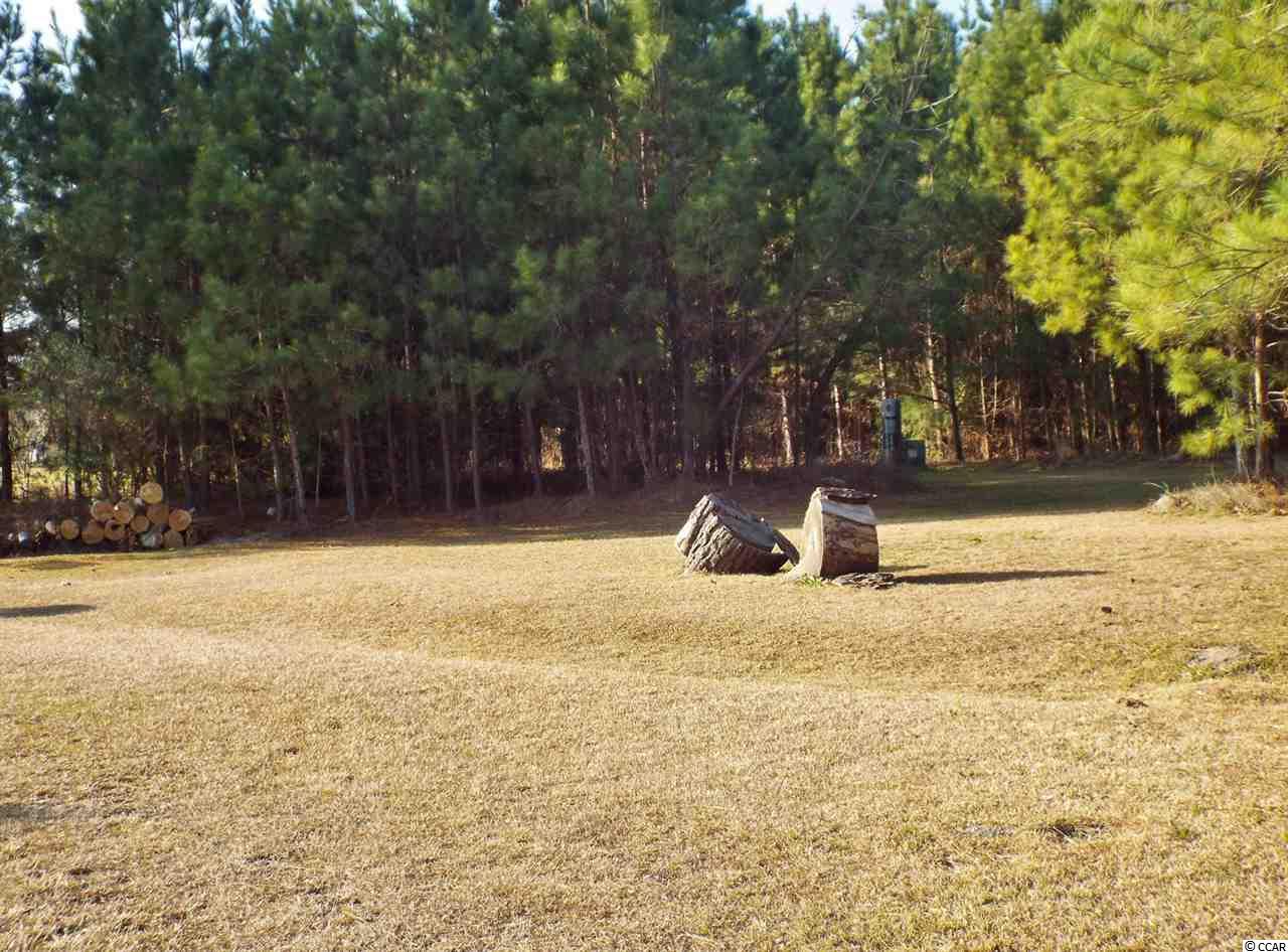 6020 Flossie Road Conway, SC 29527 - Photo 2 of 7 Gallery Image 2