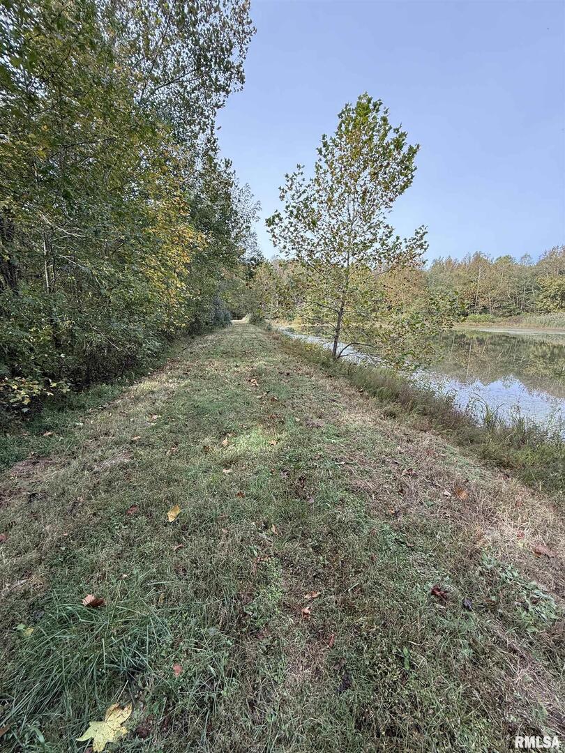 0 North Shawnee Hills Road Equality, IL 62934 - Photo 14 of 22 a view of a yard with a tree