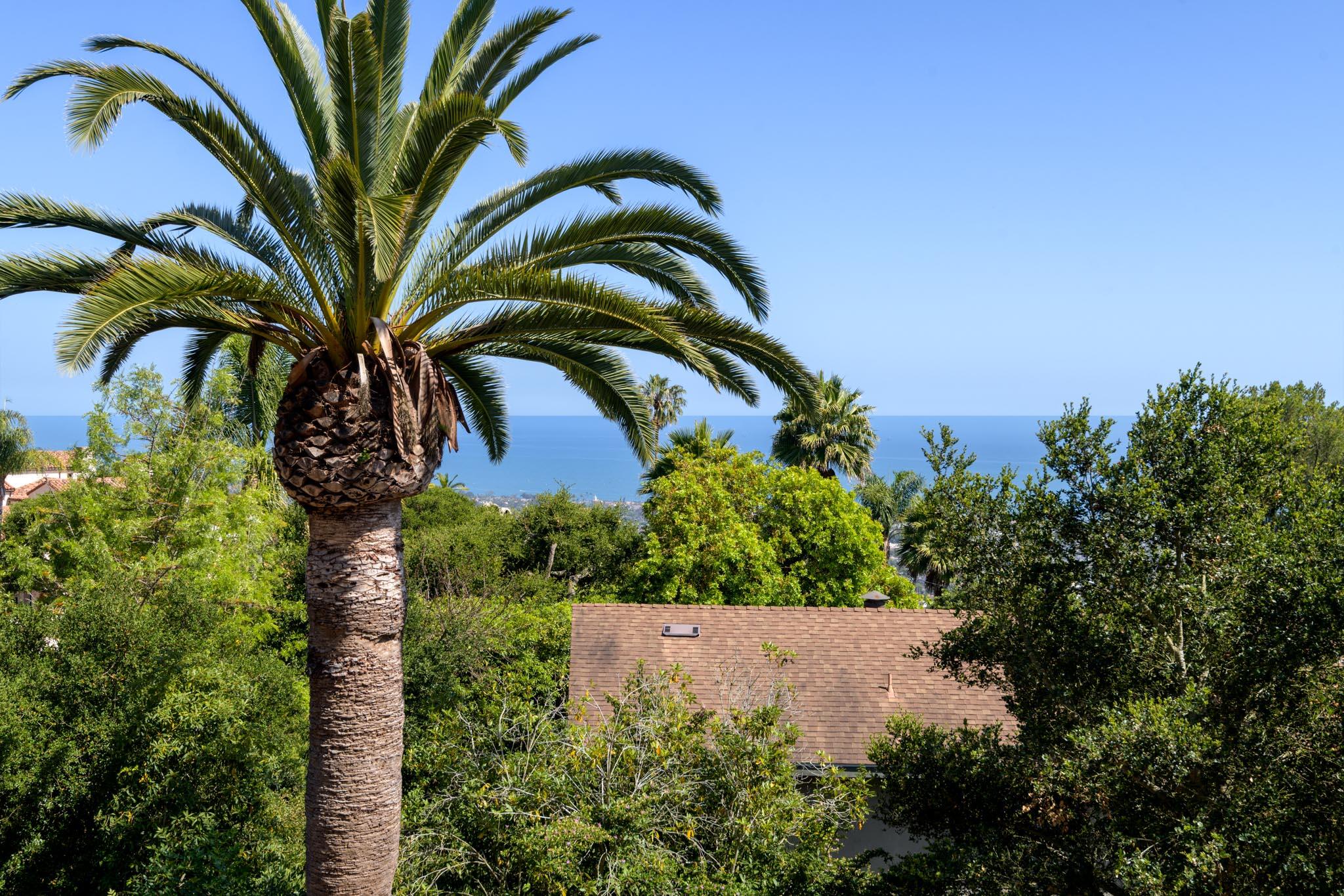 1235 Mission Ridge Road Santa Barbara, CA 93103 - Photo 24 of 27 a view of a backyard of a house