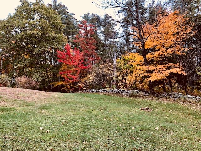 59 Piper Hill Road Center Harbor, NH 03226 - Photo 4 of 23 Gallery Image 4