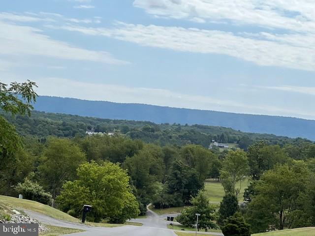 0 Woodbrier Road Berkeley Springs, WV 25411 - Photo 2 of 10