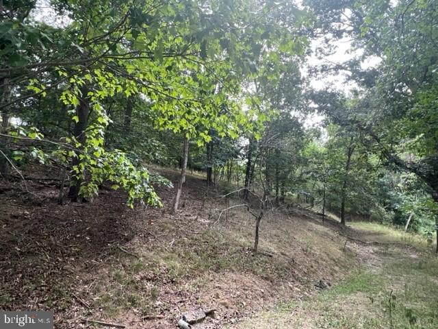 0 Woodbrier Road Berkeley Springs, WV 25411 - Photo 5 of 10