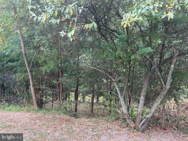 0 Woodbrier Road Berkeley Springs, WV 25411 - Photo 6 of 10