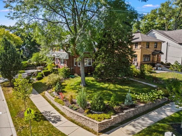 a view of a garden with flowers