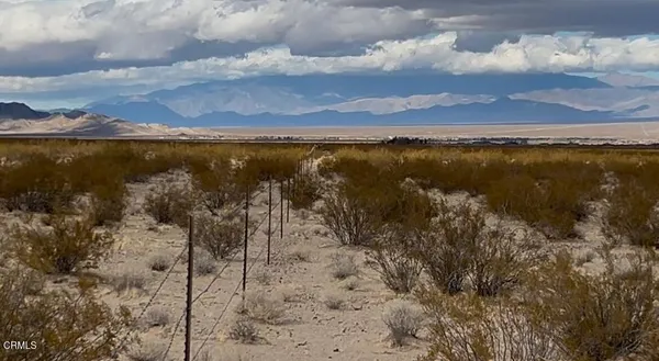 a view of a dry yard with wooden fence