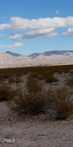 a view of a dry yard with trees