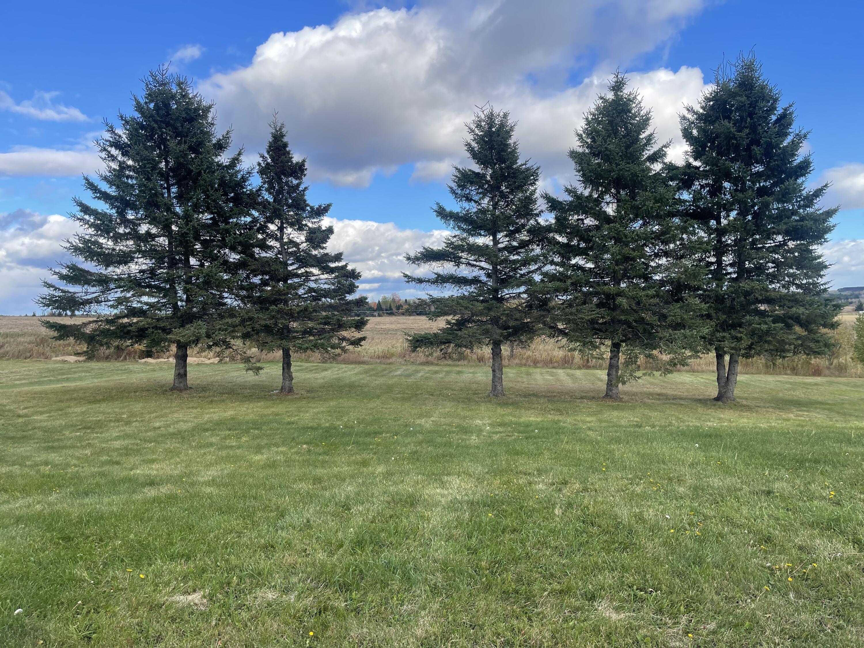 491 Van Buren Road Caribou, ME 04736 - Photo 20 of 62 IMG_7092