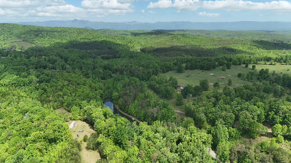 890 Earls Bridge Road Easley, SC 29640 - Photo 4 of 4