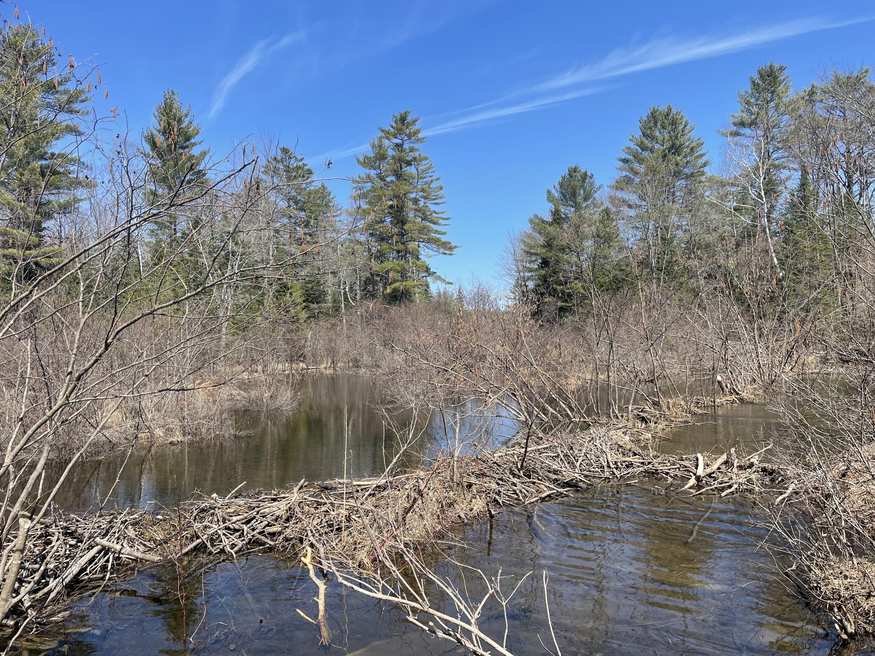 R6-lot50a Adams Road Chesterville, ME 04938 - Photo 13 of 13 IMG_2891