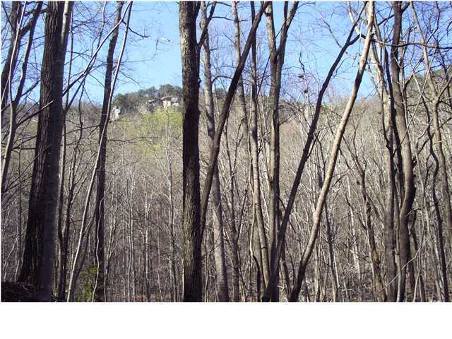 790 Mountain View Road Dunlap, TN 37327 - Photo 6 of 8 Additional Photo