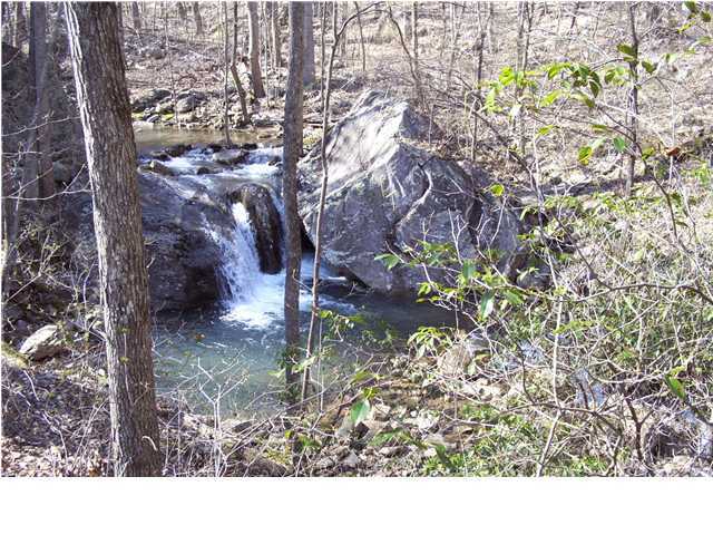 790 Mountain View Road Dunlap, TN 37327 - Photo 8 of 8 Additional Photo