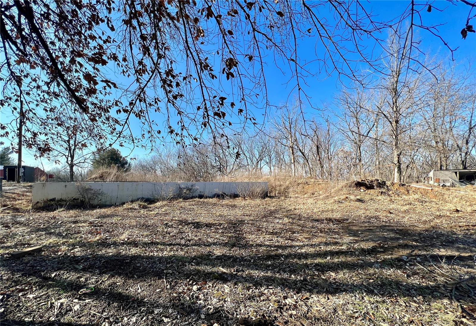 4425 Seiler Road Dorsey, IL 62021 - Photo 3 of 3