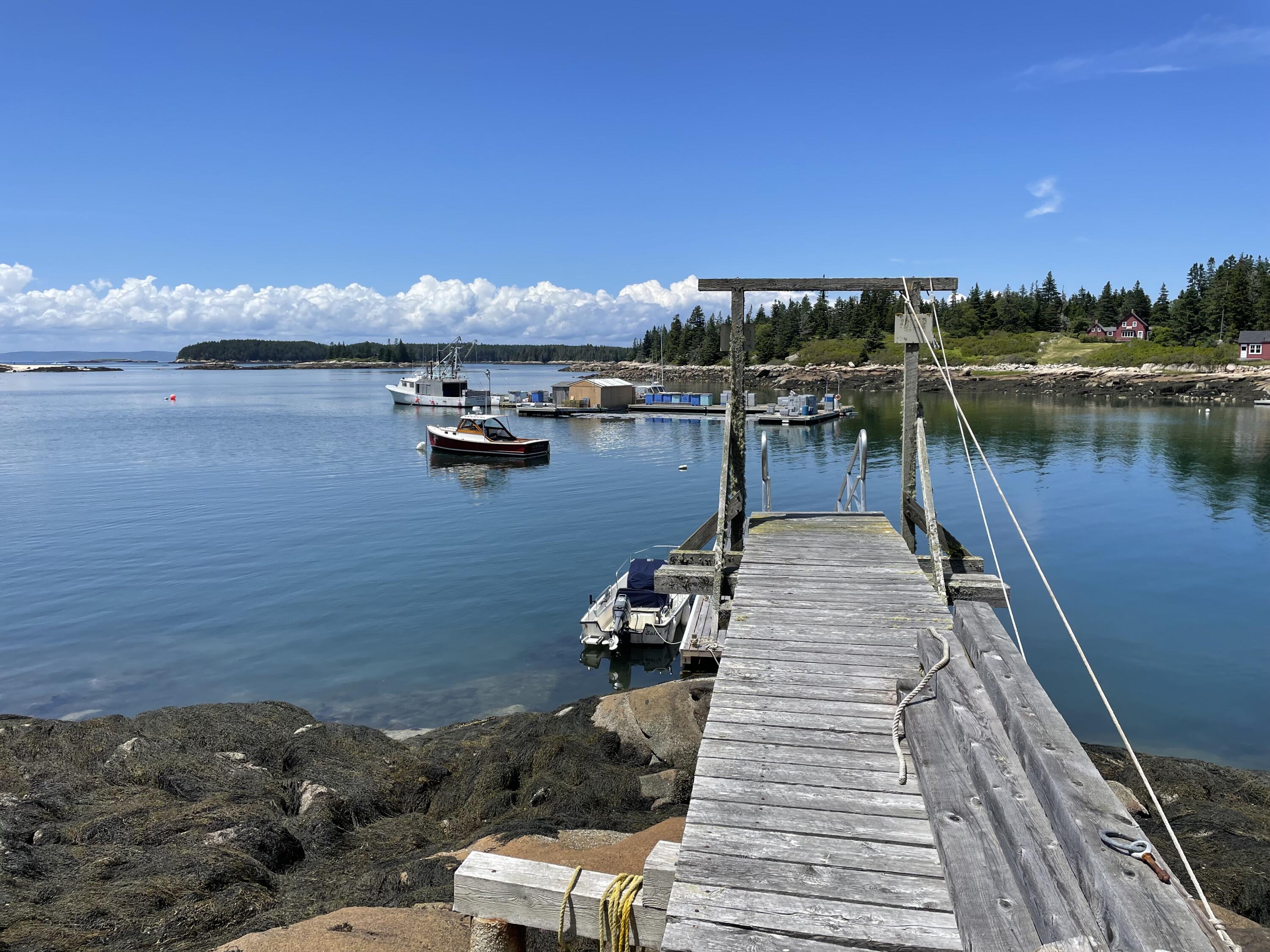7 Blair Road Vinalhaven, ME 04863 - Photo 45 of 53 IMG_7058