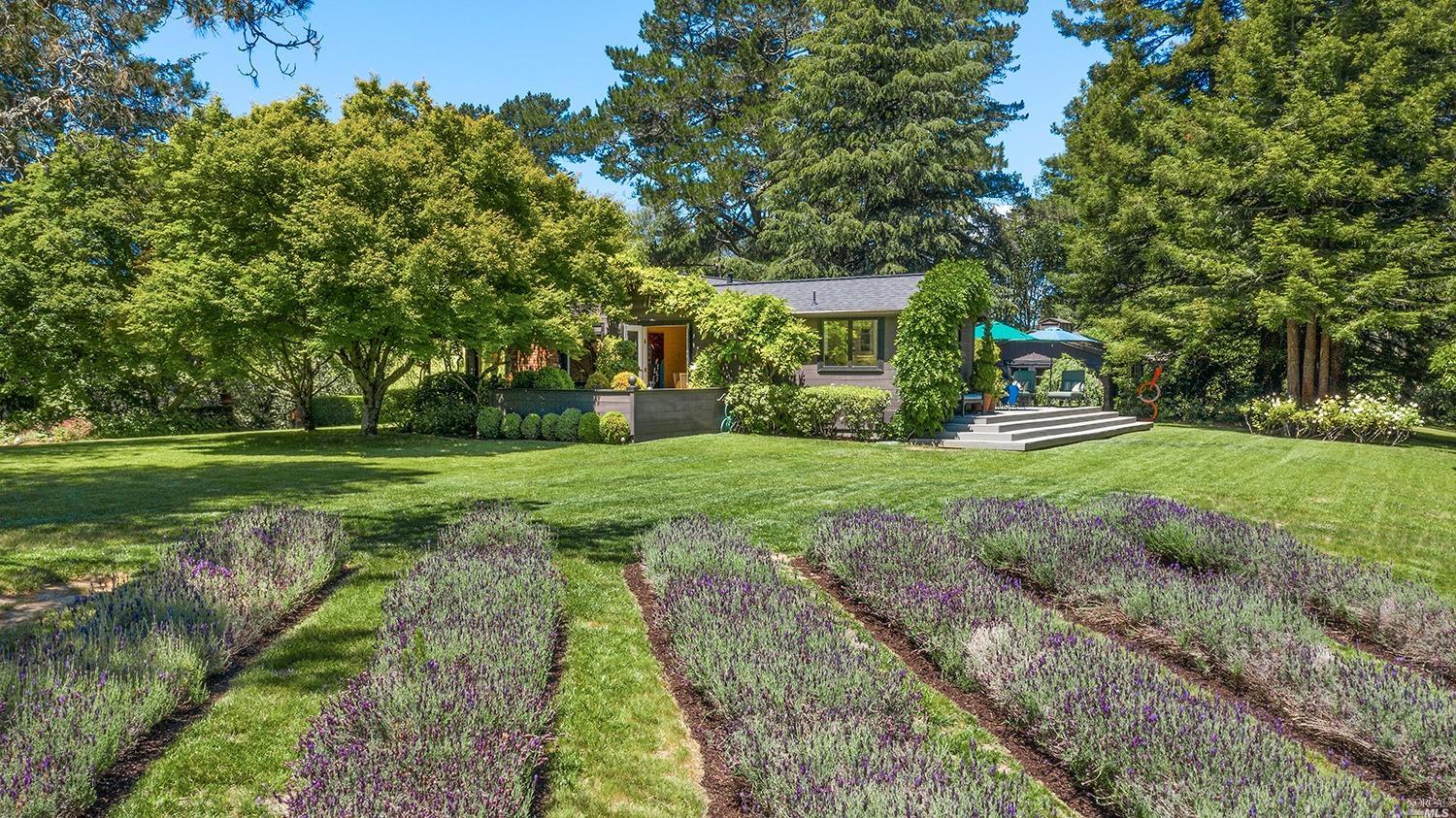 11791 Barnett Valley Road Sebastopol, CA 95472 - Photo 1 of 1 Gallery Image 1