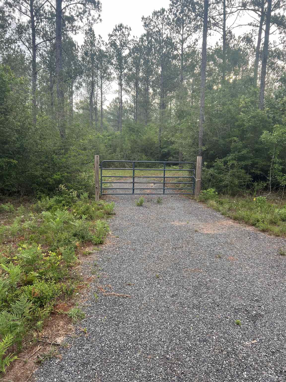 3 Gin Road Pace, FL 32571 - Photo 5 of 6
