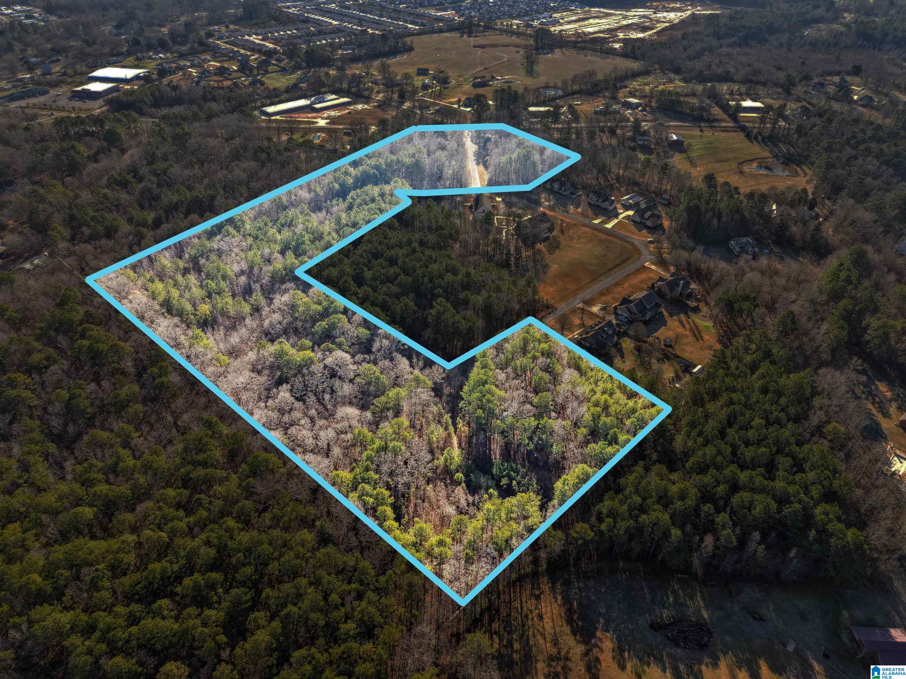 0 Branch Cove, Unit PHASE 2 Odenville, AL 35120 - Photo 5 of 32