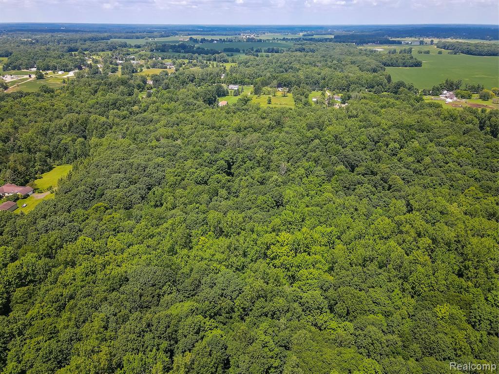 7653 Chase Lake Road Fowlerville, MI 48836 - Photo 47 of 52