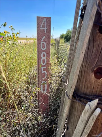 a view of beach and ocean