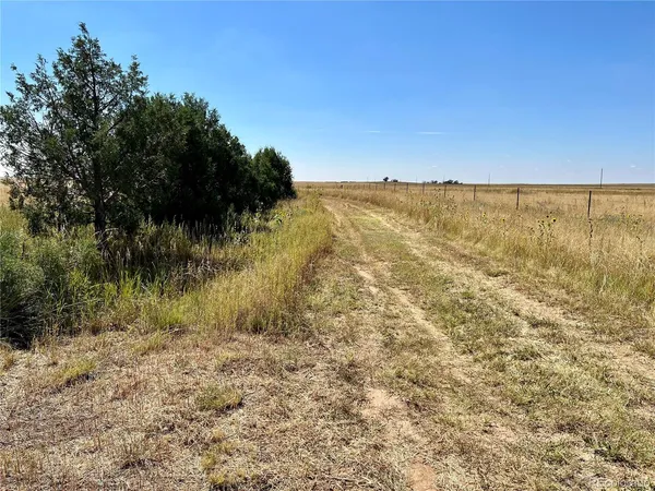 a view of a dry yard next to a building